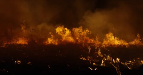 Wildfire at night. Forest burning smoke. 動画素材 89963249