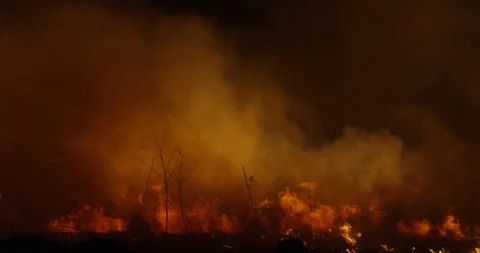 Wildfire at night. Forest burning smoke. 動画素材 89963395