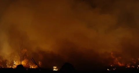 Wildfire at night. Forest burning smoke. 動画素材 89963663