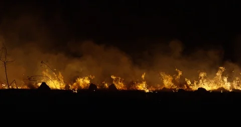 Wildfire at night. Forest burning smoke. 動画素材 89964859