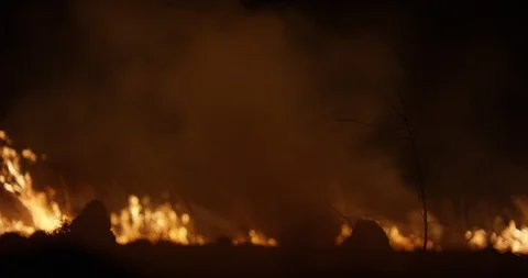 Wildfire at night. Forest burning smoke. Stock Footage 89966679