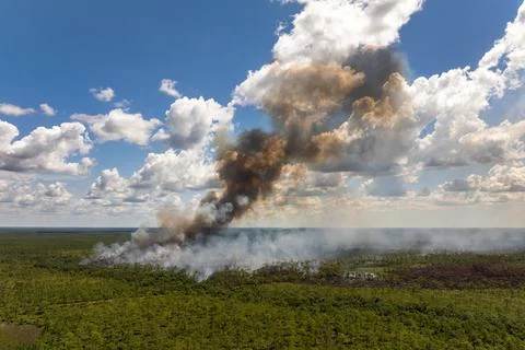 Wildfire outbreak devastates Florida forest, filling the air with smoke and.. Stock Photos