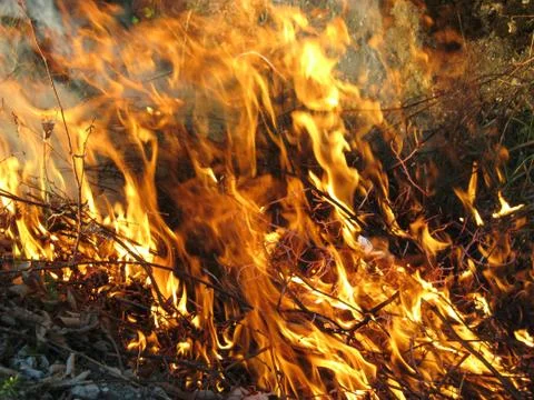 Wildfire outside Stock Photos