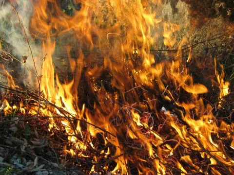 Wildfire outside Stock Photos