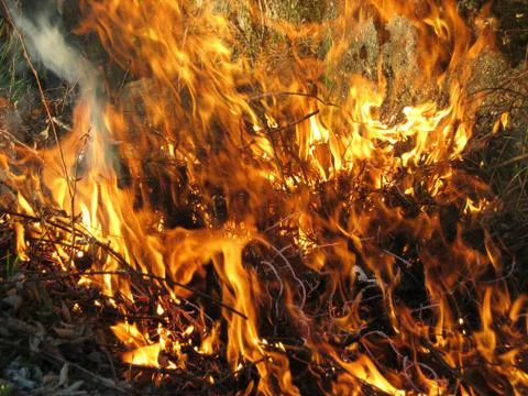 Wildfire outside Stock Photos