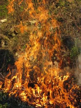 Wildfire outside Stock Photos