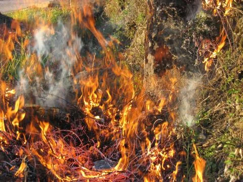 Wildfire outside Stock Photos