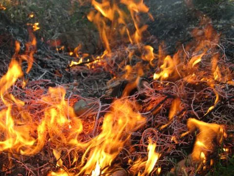Wildfire outside Stock Photos