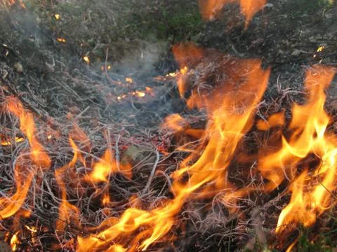 Wildfire outside Stock Photos