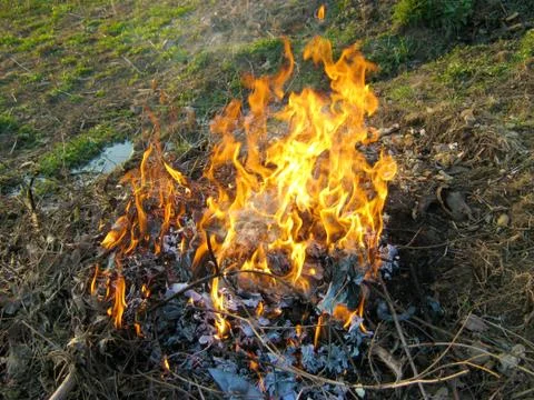 Wildfire outside Stock Photos
