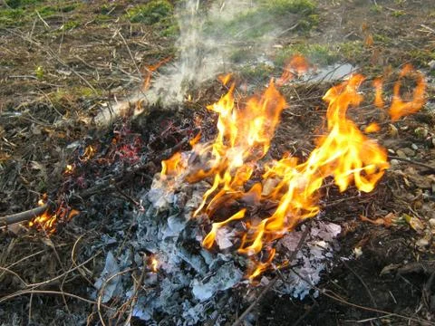 Wildfire outside Stock Photos