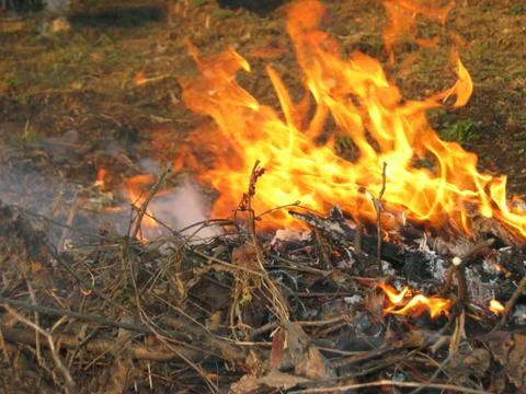 Wildfire outside Stock Photos
