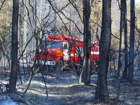 Wildfire 스톡 사진