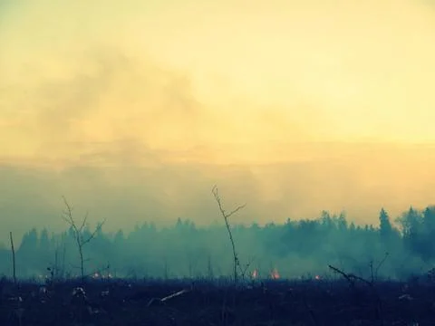 Wildfire 库存照片