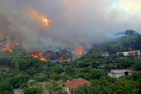 Wildfire Stock Photos