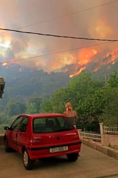 Wildfire Stock Photos