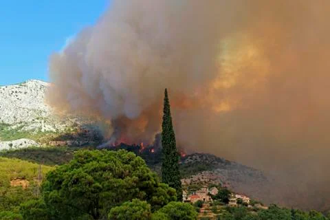 Wildfire Stock Photos