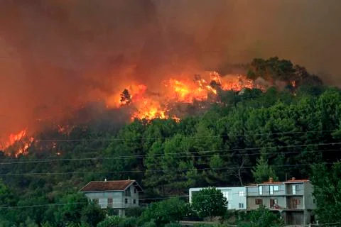 Wildfire Stock Photos