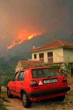 Wildfire Stock Photos