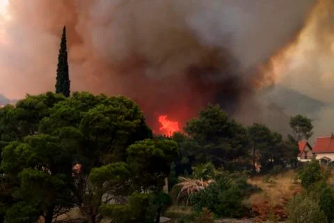 Wildfire Stock Photos