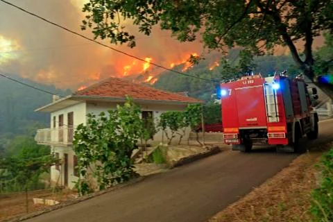 Wildfire Stock Photos