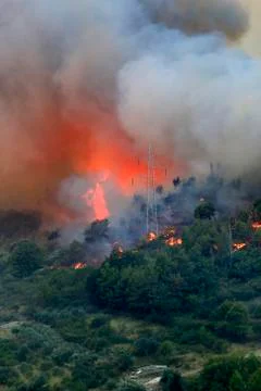 Wildfire Stock Photos