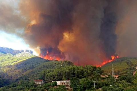 Wildfire Stock Photos