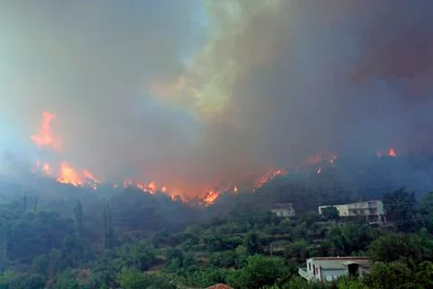 Wildfire Stock Photos