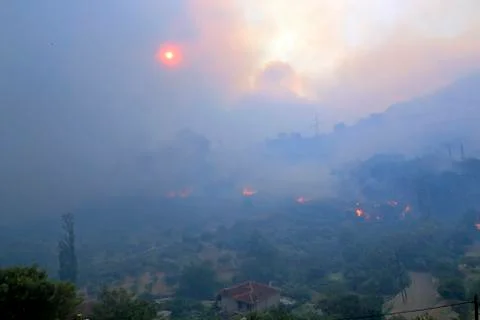 Wildfire Stock Photos