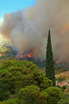 Wildfire Stock Photos