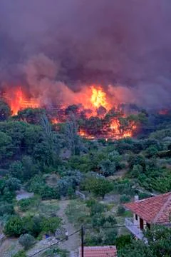 Wildfire Stock Photos