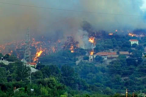 Wildfire Stock Photos