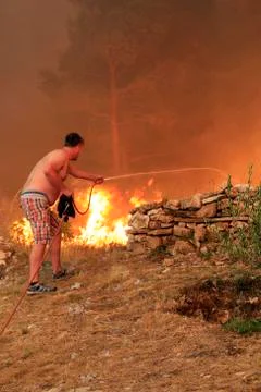 Wildfire Stock Photos