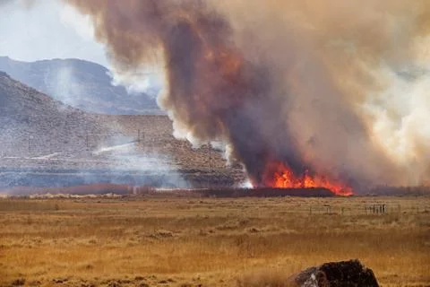 Wildfire Stock Photos