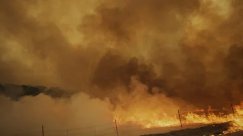 Wildfire producing dense smoke and flames Stockbeeldmateriaal 332961871