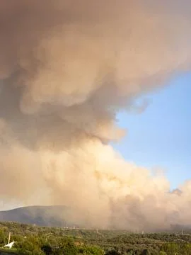 Wildfire producing massive smoke plume over forest Stock Photos