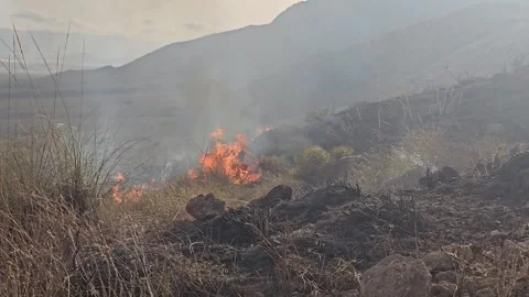 Wildfire rages through dry brush and hills Stock Footage 341465998