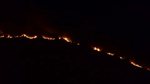 Wildfire raging along mountainside at night through fire prone fynbos vegetation Stock Footage 294878824