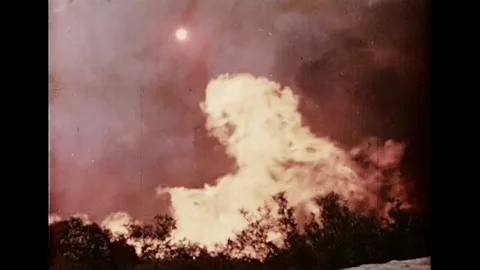 Wildfire Raging In Forest Stock Footage 105186253