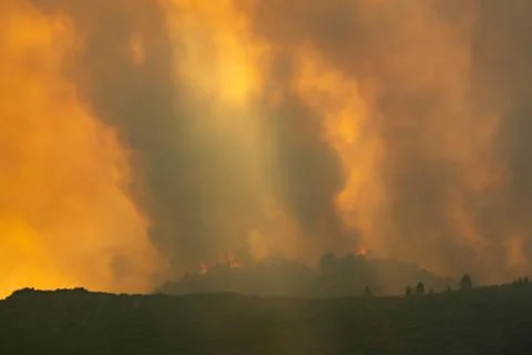 Wildfire raging over trees causing smoke pollution Stock Photos