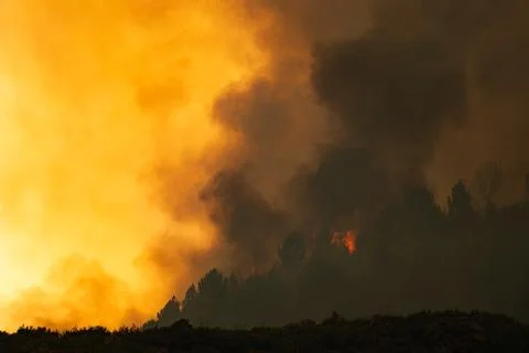 Wildfire raging through forest creating thick smoke Stock Photos