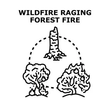 Wildfire raging through forest destroying plant life Stock Illustration