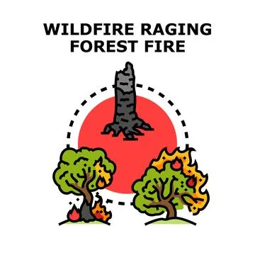Wildfire raging through forest destroying plant life Stock Illustration