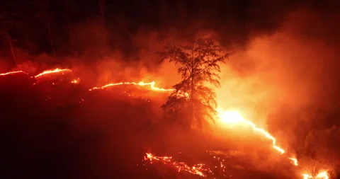 Wildfire raging through forest at night with smoke and flames Stock Footage 328986240