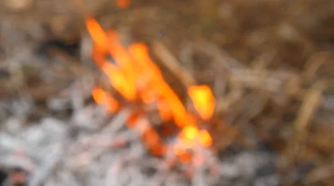 Wildfire shot in blur Stock Footage 49942106