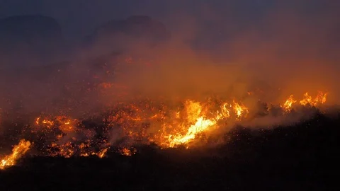 Wildfire slomo Stock Footage 108769125