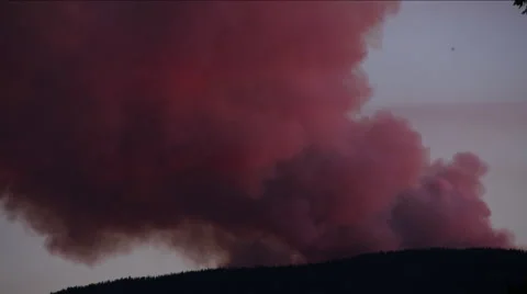 Wildfire smoke closeup Stock Footage 58031544