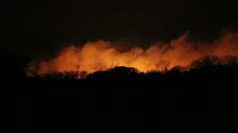 WildFire Smoke Video stock 12532975