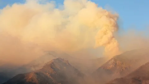 Wildfire smoke Stock Footage 98292710