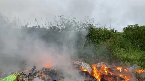 Wildfire with smoke in the forest Video stock 166044386